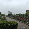 福山市 バラ公園