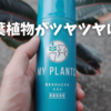 「葉がツヤッツヤに！観葉植物におすすめのミスト『MY PLANTS』使ってみた」