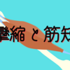 筋攣縮と筋短縮　生理的機序・圧痛所見・筋緊張・筋力低下・収縮時痛・運動療法・反復性等尺性収縮