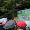 京都久しぶり旅　2020年10月　(6)　銀閣寺