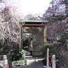 香取神社 香梅園の梅まつり 3月2日