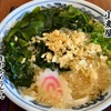 小麦屋「生わかめうどん」