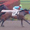 【シルク】日曜日（5/1）の出資馬・出走結果