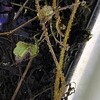 見つけてみてね