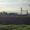 昨日と今日のウォーキング　～芹川鉄橋 ＆ 八坂浜～