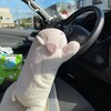 オフロードコースお披露目会
