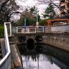 親水公園の水路