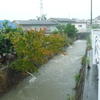 梅雨