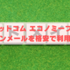 【最安値】お名前ドットコム エコノミープランで独自ドメインメールを格安で利用する方法