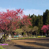 秋田県大館市　鳳凰山