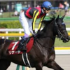 11/24(日)の京都競馬場のレース予想　～京阪杯はモズスーパーフレアとリナーテの対決だと予想します！～