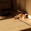 ROYAL CANINの「消化器サポート」