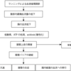 ウルトラマラソンやロングトレイルと嘔気