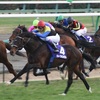 有馬記念2019  全頭診断その３