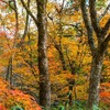 不快の後に、幸せがやってくる