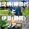 【癒し旅】南足柄(神奈川)から伊豆(静岡)の一人旅【全ルート＆各スポット】