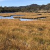 【地蔵岳(赤城山)・覚満淵】アンテナめぐりと金色草紅葉