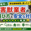 八尾市で野生動物被害に困ったら？害獣業者の選び方と安全な対策をわかりやすく解説