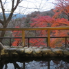 箱根木賀温泉「箱根宮ノ下 華山」さん 一人旅 ② 温泉編