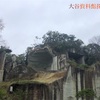 旅行で立ち寄りたい！大谷資料館【宇都宮】