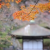 紅葉を撮ってきた その２ 〜 和歌山 渓庭園 〜