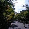 京都日帰旅行（金閣寺・嵐山）