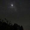 今夜の月
