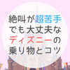 絶叫が超苦手でも大丈夫なディズニーの乗り物と怖さを軽減するコツ