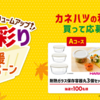 【１１/３０】カネハツ食品キャンペーン【レシ /  LINE 】