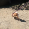 もうすぐ春、だよ