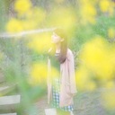 鳥はさえずり私は本を読む。