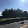 愛宕神社古墳  鴻巣市安養寺