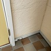死んだ蛇の除去・・・