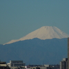 富士山の日！