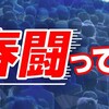 春闘 集中回答日 大手企業ベースアップはいくら?（２０２４年３月１３日『NHKニュース』）