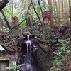 真龍雲寺(太宰府）