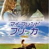 マイ・フレンド・フリッカ