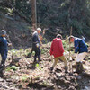 里山の会3月定例会