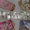 上海ディズニーでグッズ買うなら○時に行け⁈