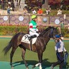 【写真】スマイルオンミー（2021/11/20　東京競馬場・未勝利）