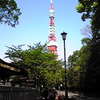 東京タワー＆六本木ヒルズ＆シングルスオフ