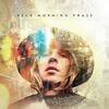 Beck / Morning Phase