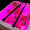 LEDライトを使って「サラダ菜」の室内栽培に挑戦。収穫まで光を消さずに育てる予定です