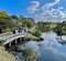 水前寺成趣園の池（熊本県熊本）