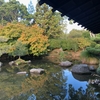 ハミルトンに日本庭園が！？様々な国の庭園を見ることが出来るんです！！