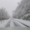 雪を追いかけて・・・