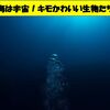 キモかわいい深海生物5選！深海生物図鑑で子どもの好奇心を伸ばそう！