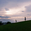 日々の写真 2025 vol.7／８月のお散歩写真