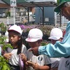 ２年：夏野菜の苗の購入　運動会練習