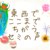 【蝉の声】東西でここまでちがうか。知ってはいたけど、実際に聞くと驚く。ミンミンゼミがいない！